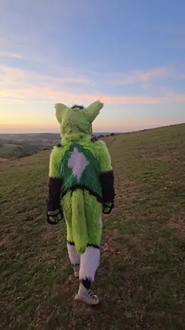 Don't know why but my ankle is a bit sore after a little hike. Atleast the view was nice, right @Nightphin   ? #fursuiter #furry #furrytiktok #fursuit #therapy 