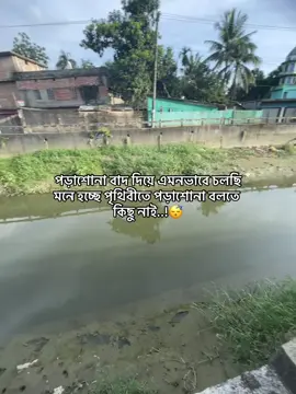 পড়াশোনা বাদ দিয়ে এমনভাবে চলছি মনে হচ্ছে পৃথিবীতে পড়াশোনা বলতে কিছু নাই..!😴#OGGY🧃 #foryou #foryoupage #fypシ゚viral @ᴛʏᴘɪɴɢ......⚰️ 