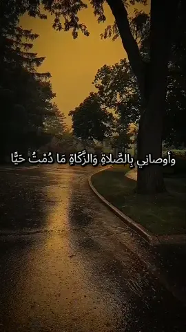 تلاوة تريح القلب  وأوصانِي بِالصَّلاةِ وَالزَّكَاةِ مَا دُمْتُ حَيًّا #قرآن #تلاوة_خاشعة #القران_الكريم_راحه_نفسية😍🕋 #اعادة_النشر🔃 #اليمن🇾🇪المملكة🇸🇦_عمان🇴🇲_الاردن🇯🇴ليبيا 