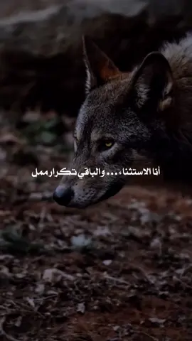 #darknoir #sigmanoiir 