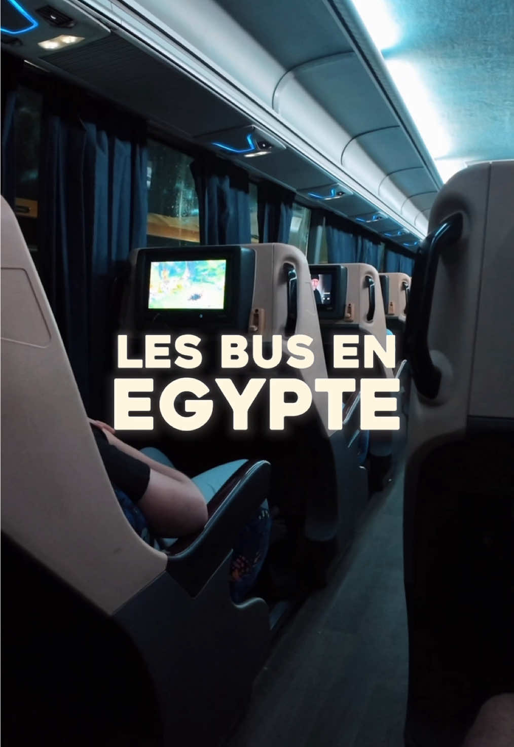 🚍 En Égypte, les bus c’est vraiment un autre level ! Une expérience que je conseille 😴 #egypt #cairo #travel #explore #pourtoii 