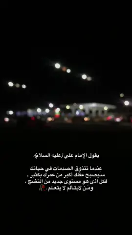 صدقت يا أبا الحسن❤️‍🩹🥀 #ستوريات #تصويري #كربلاء 