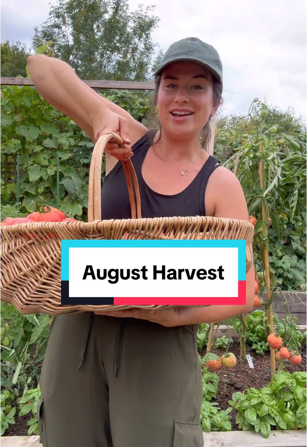 Picked on the 21st August  #kitchengarden #vegetablegarden 