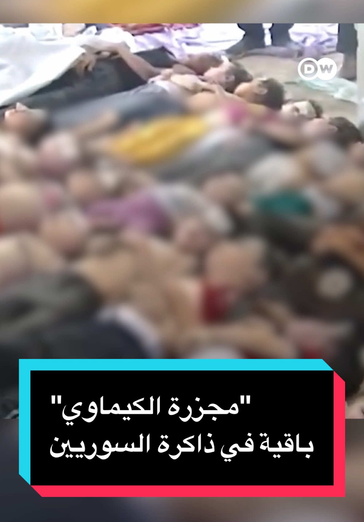 #مصر_السعوديه_العراق_فلسطين #سوريا #الولايات_المتحدة_الامريكية 
