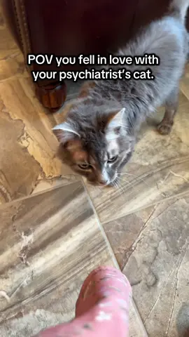 He’s 17 years old and comes to the office everyday. 🐈‍⬛ #psychiatry #psych #cats #catsoftiktok 