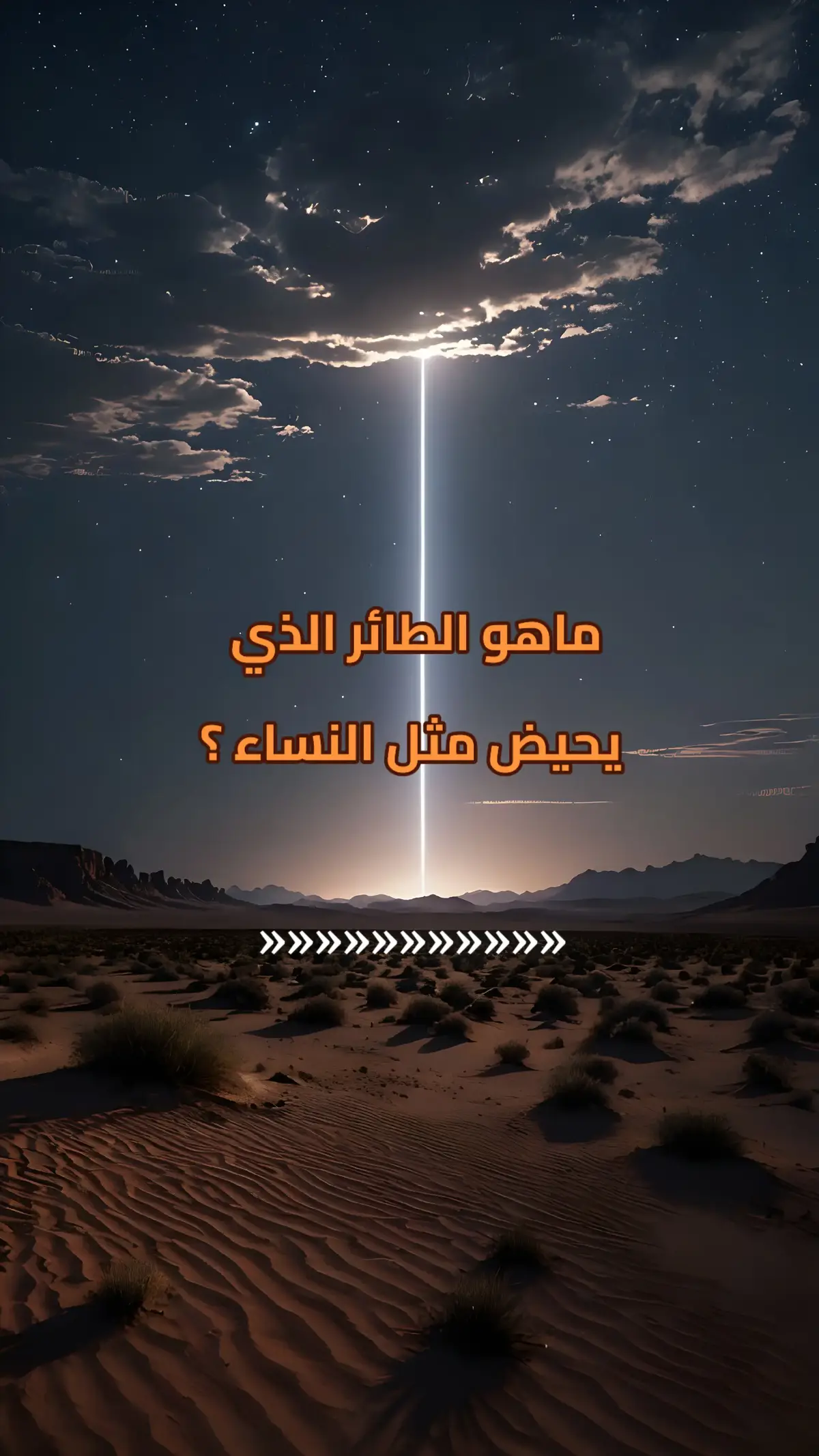 #معلومات_دينية #سؤال_جواب #أسئلة_دينية #معلومات #اترك_اثراً_قبل_رحيلك 