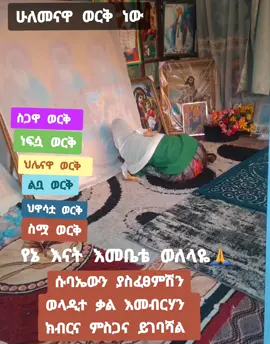 #ኦርቶዶክስ_ተዋህዶ_ፀንታ_ለዘለዓለም_ትኑር #ፍልሰታ ለማርያም🙏🙏🙏