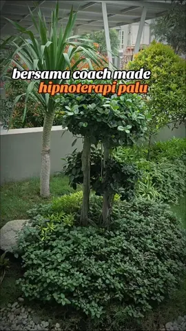 #CapCut motivasi hidup #motivasihidup #motivasidiri #motivasisukses 
