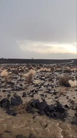 #باديه_الشلالحه_بني_شلاح_مطير 