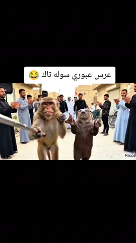 سولوة منشن هههههه #العراق #ذكاء_اصطناعي #ابوجنه #عبوري 
