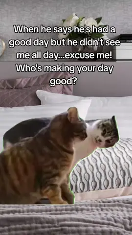 Please enlighten me on how you've possibly had a good day without me? 🤔🤔 #Meme #CapCut #relatablememes #relationshipmemes #fyp 