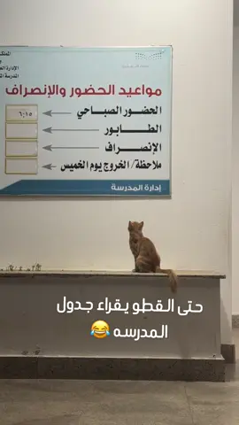 استعداد للمدرسة 🤪✌🏼#العوده_الى_المدارس😭 #تصويري📸 #fypシ゚viral #اكسبلورexplore #explorepage✨ 