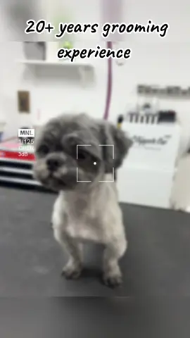 20+ years of grooming your furry friends and family ♥️ in home grooming available as well as chauffeur service to and from your home for their appointment, as well as a drop off and pick up location if you prefer! call or text Nicki’s for all your furry friends needs♥️ (727) 307-1991 ##nickiward##dunedinflorida##pinellascounty##SmallBusiness##groomerslife