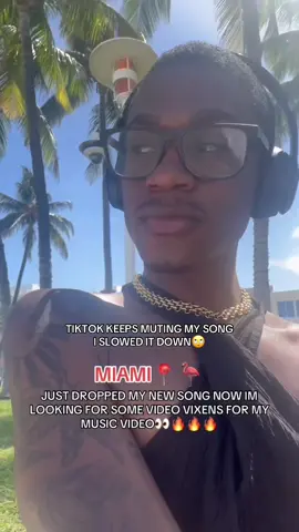 Please TikTok this my musicccc #fyp 