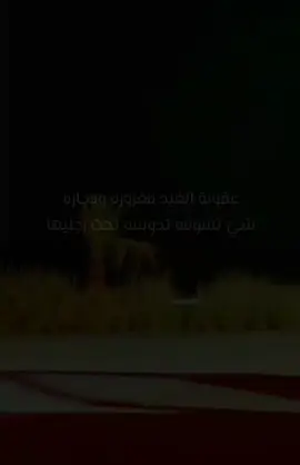#اكسبلورexplore #fypシ゚viral #لايك_فولو 