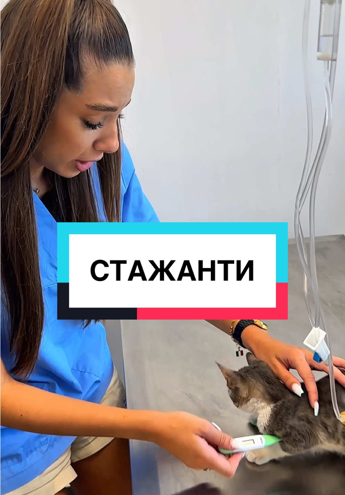Ама нали ние си я мерим там🤣🤣🥲 #коте #температура #преглед #ветеринар #котка @jijo&val 