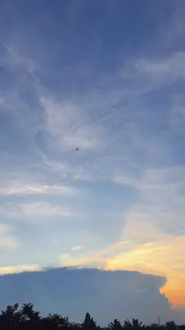 ✈️