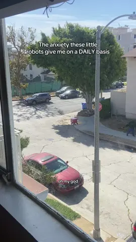 This is proof that humans will bond with anything!!! I thought I was going to witness a murder. #coco #robot #hopecore #funny #frogger 