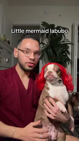 Little mermaid labubu #labubu #fyp 