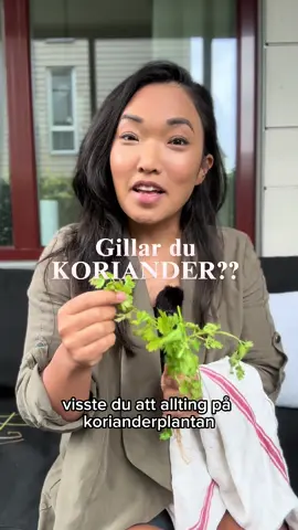 Koriander  Visste du att du kan använda hela korianderplantan? 🌿 Från bladen till fröna och till och med rötterna. 😍 #Koriander #Matsvinn #Kökstips #Matinspiration #foodhacks 