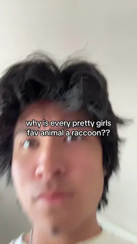 #raccoon #fyp #viral 