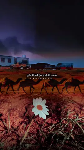 #نحمد_اللي_يرسل_الغر_الروايح _ تصميمي🎬🌧️