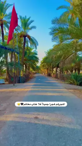 #تصويري_احترافي_الاجواء👌🏻🕊😴 #تصويري📸اكسبلوور #ستوريات #النجف_الأشرف #CapCut 