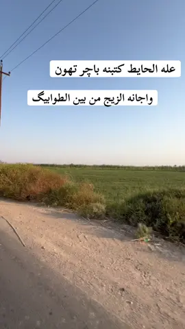 ايبااا