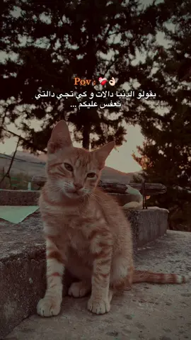 #الدنيا 🔁#إعادة_النشر🔄 #المغرب🇲🇦تونس🇹🇳الجزائر🇩🇿 #trendingvideo #fyppppppppppppppppppppppppppppppppppp 