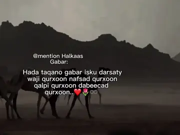 mention:❤️🌷   #viral_video #fypvirall #10k❤️ #firaltiktok #viewsproblem😭 
