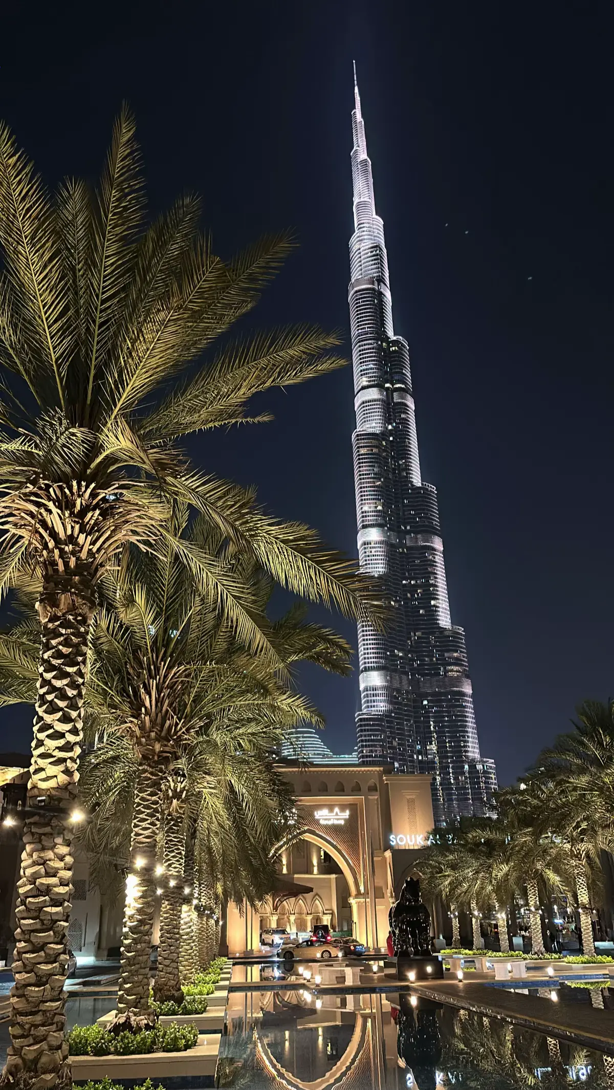 Dubai dump at night ✨ #fyp #foryou #pourtoii #dubai 