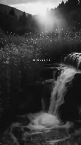 #حكم #اقتباسات  #تصميمي #لايك #اكسبلور 