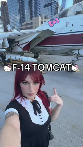 F-14 TOMCAT MENTIONED🗣️🗣️🗣️