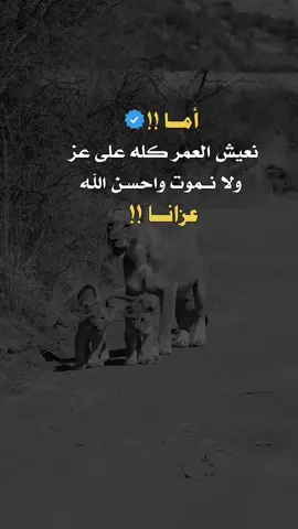 #عبارات #تصميم_فيديوهات🎶🎤🎬 #عبارات_جميلة_وقويه😉🖤 #تصميمي #اكسبلور 