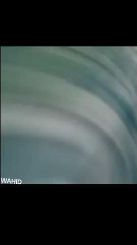 اقا- وحيد-مرادي-البطل -وحش-ايران -نسر-عقاب روحت-شاد -زعيم-مافيا -الوحش المصمم 🔥🦅