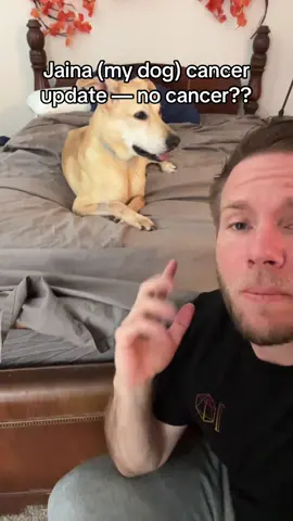 My dog Jaina’s cancer update - not cancer? Maybe? Confusing #dogcancer #dog #cancersucks #puppy #puppiesoftiktok 