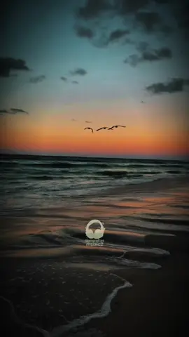 15:50| •Mergulhei nas incertezas do amor 💭🎶🤍 #musica #tipografia #zefelipecantor #sertanejo #sofrencia #meugritodeamor #musicasantigas 