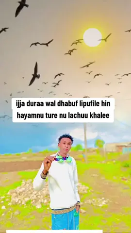 #oromotiktok❤️💚❤️ethiopiantiktok #fypシ゚viral1🖤tiktok☆♡🦋myvideo #100 #habeshatiktok #fypシ゚viral🖤tiktok100 @👑KING 2 ANNE 🌟🇺🇸 @LENCÎSHA.🫶 HARO🚣‍♂️ @🇺🇲👀ŇÂđhîîšhâ💦häřòò💦💨 