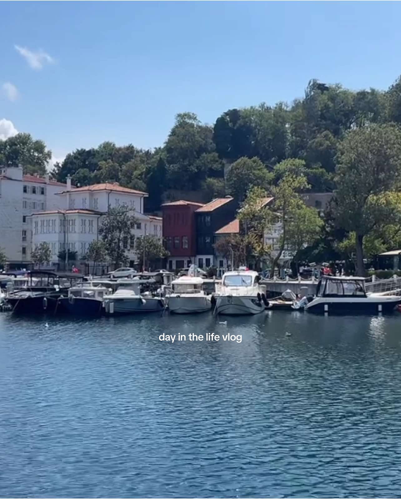 day in the life of a canadian girl living in istanbul 🇹🇷 #istanbul #istinyepark #shakeshack #diml #Vlog #foodvlog #fyp 