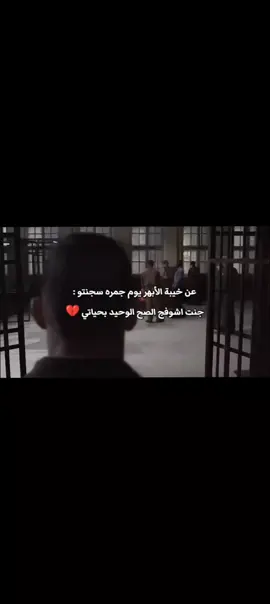 جنت اشوفج الصح الوحيد بحياتي 😔💔 #واتباد #اجرام_مستباح_لثلاث_ندبات_واتباد #ضباط_العراق_قادة_العراق_اسود_العراق #الابهر_جمرة #iraq 