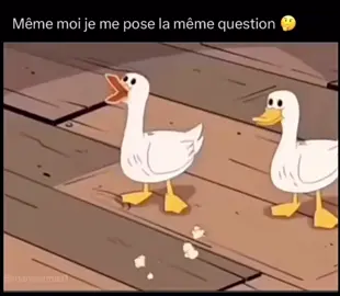 Bizarre 