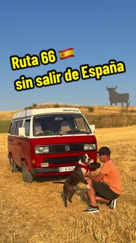 👉🏻Descubre la Ruta 66 sin salir de España🇪🇸  📝Hoy os traigo un Road Trip para los amantes de los viajes sobre ruedas 🚌 600Km. Que nos llevarán desde el Km.0 de Madrid hasta la Torre de Hércules en A Coruña🗼 📝Un recorrido por la antigua carretera N-VI 🛣️ @rutadelanvi para los que buscan viajes tranquilos pero divertidos  📝Tendrás que comprar un pasaporte especial en la web de @rutadelanvi para ir sellando en los puntos habilitados, es como coleccionar recuerdos de cada lugar que visitas, además también tienen pasaporte para mascotas 🐶 📝Por el camino tendrás tres tipos de sellos los rojos o de parada obligada, los negros o institucionales y los especiales de color azul 🤹🏻 📝En la ruta 66 española tienes de todo museos, gasolineras, librerías, bares, restaurantes y todo con mucho encanto. Además en algunos tendrás premios y recompensas🎁 📝También encontrarás iconos como el toro de Osborne, el gran cañón de España, campos de girasoles, miradores y un poco de todo🌻 📝Cada sello es muy valioso y si consigues quince 1️⃣5️⃣ al final de la ruta, recibirás un diploma como recuerdo de esta aventura📜 📝Nosotros lo hicimos en furgoneta en esta Volkswagen de 1988 perfecta para estas carreteras secundarias, ¿Y tú? ¿Con qué vehículo te atreverías a hacer la ruta 66 española? 🛣️🚐 🔐Guarda y comparte este Reel para tu próximo Road Trip ℹ️ ♥️Y dale la que comentas si te ha gustado el contenido👌🏻 #roadtrip #rutasporespaña #ruta66 #spain🇪🇸 #viajesporespaña 