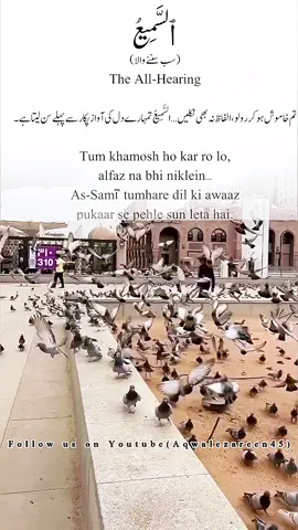 Beshak 💯👍 #aqwalezareen #foryou #support_me #viralmyvideo #creatorsearchinsights 