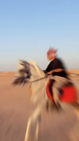 #اكسبلور #ترند #الخيل #الشعب_الصيني_ماله_حل😂😂 #fyp 