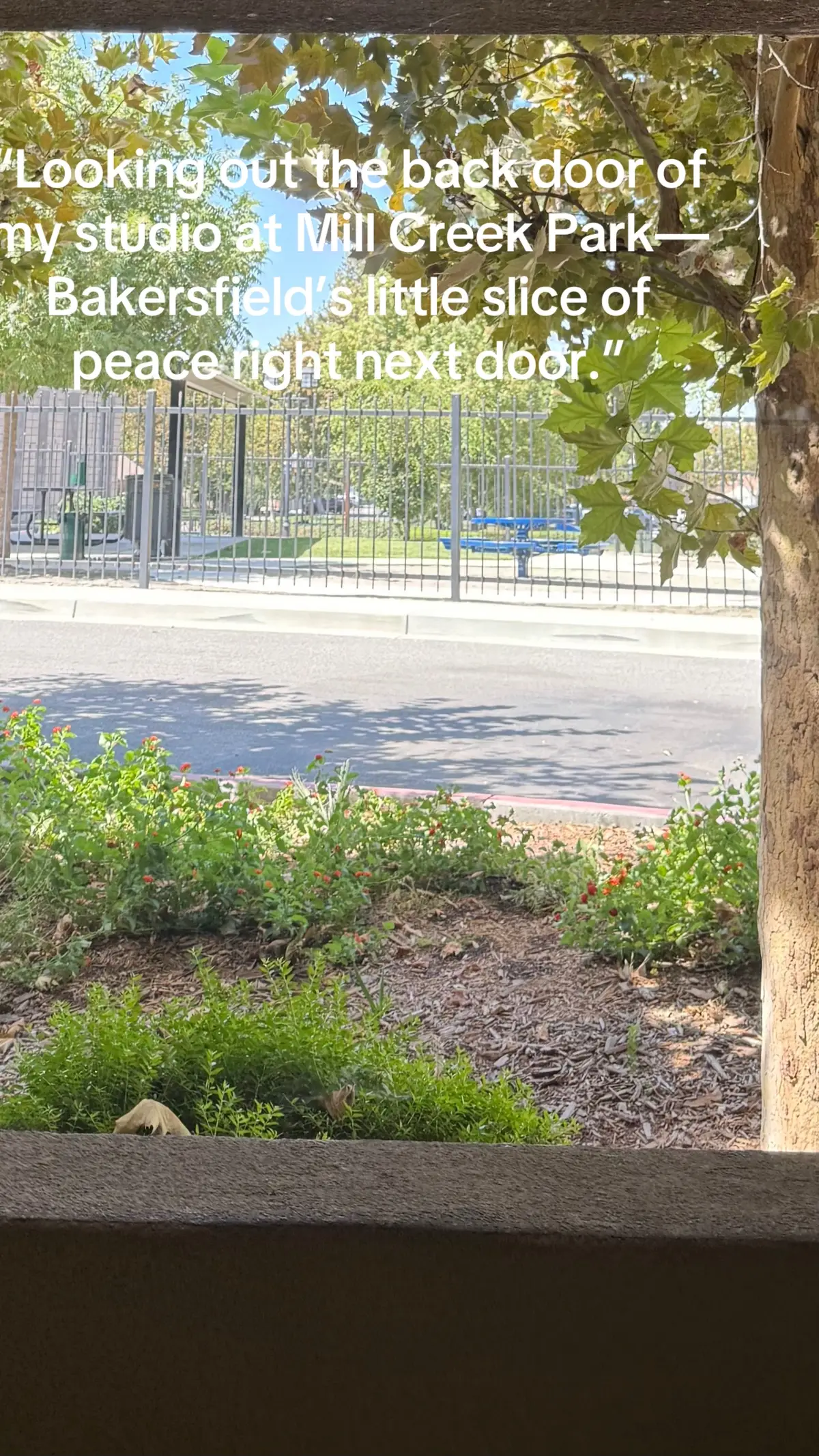 “From my studio, I just step back and take in the beauty of Mill Creek Park. Sometimes the simplest views bring the most peace. 🌿✨ #BakersfieldLife #MillCreekPark #StudioVibes #NatureNextDoor #PeacefulViews   