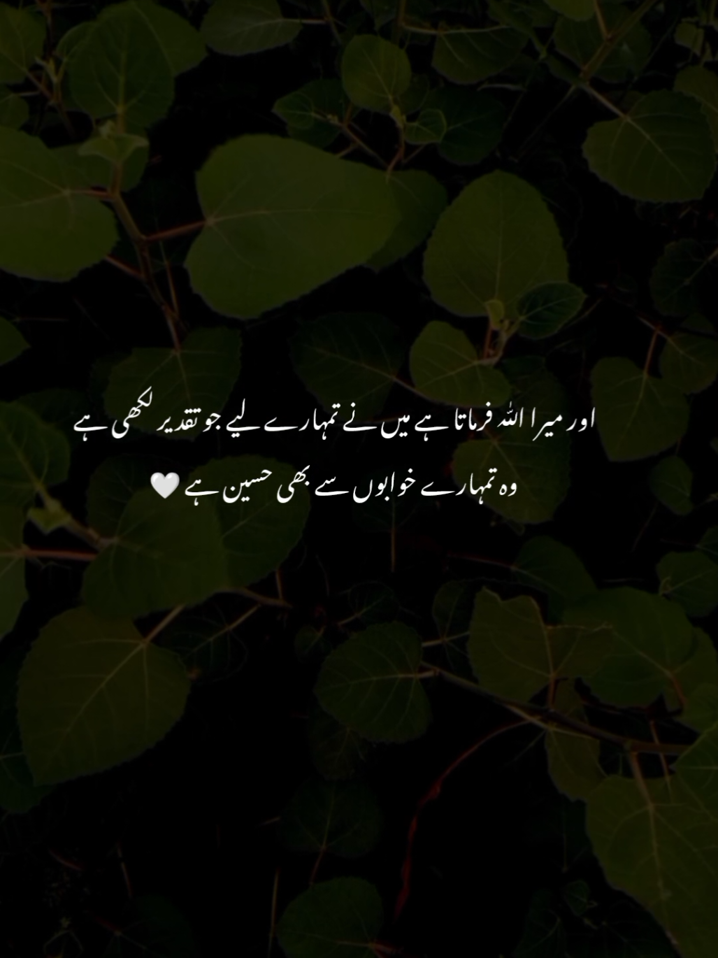 🌚🤍 | #Ziroox #fyp #foryou #foryoupagе #sad #sadpeotry #sadshayri #urdu #urdypeotry #urdushayari 