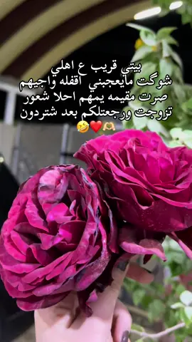 #شعب_الصيني_ماله_حل😂😂 
