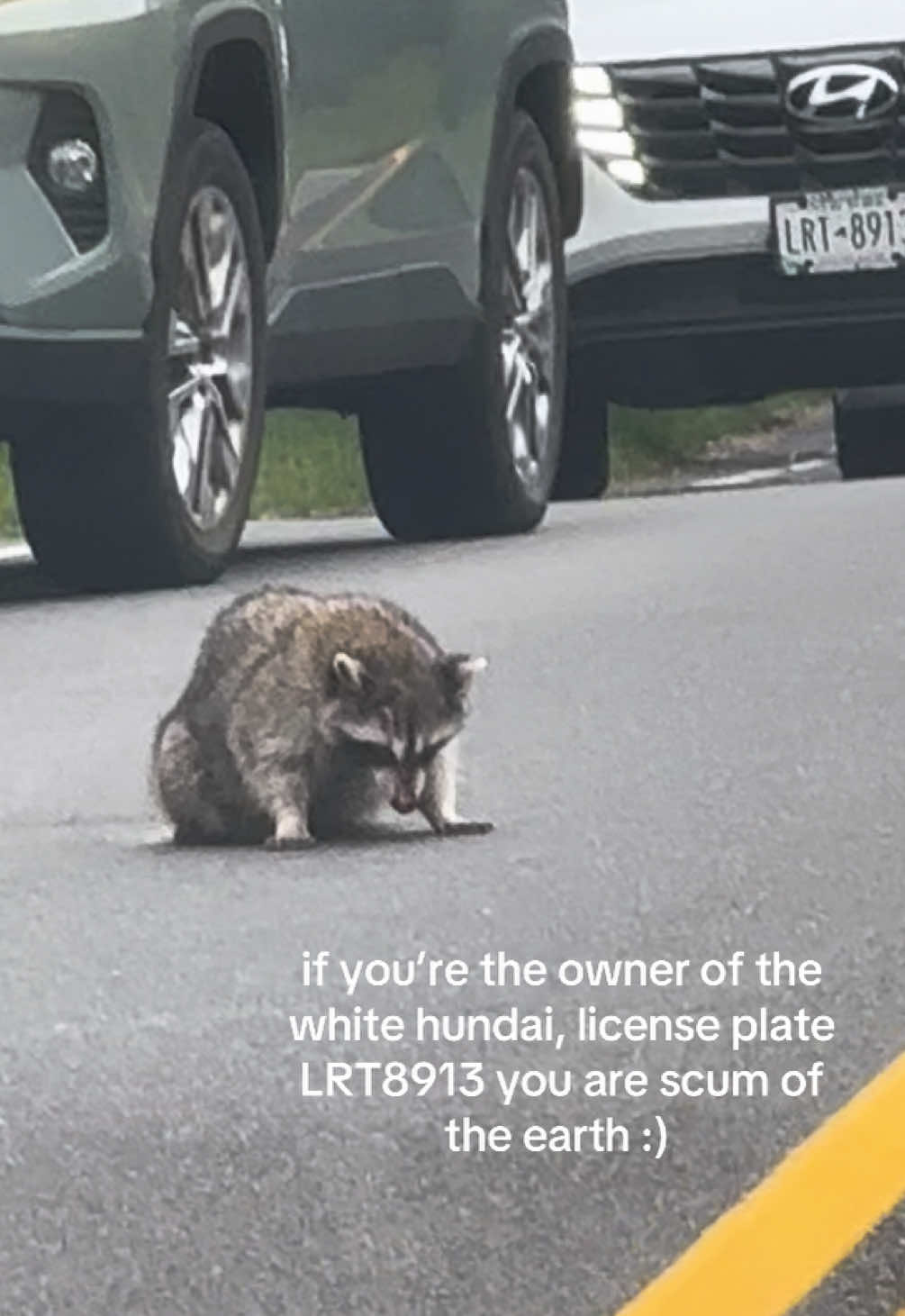 you watched everyone slow down and drive around this poor raccoon and chose to run it over??? you’re really weird #tsitp #thehamptons #southhampton