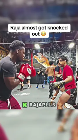 Raja almost got knocked out #rampagejackson #rajaplus 