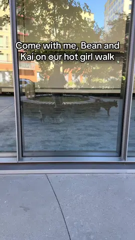 Had to avoid all the other humans and dogs but we made it #dogs #dogwalk #hotgirlwalk 